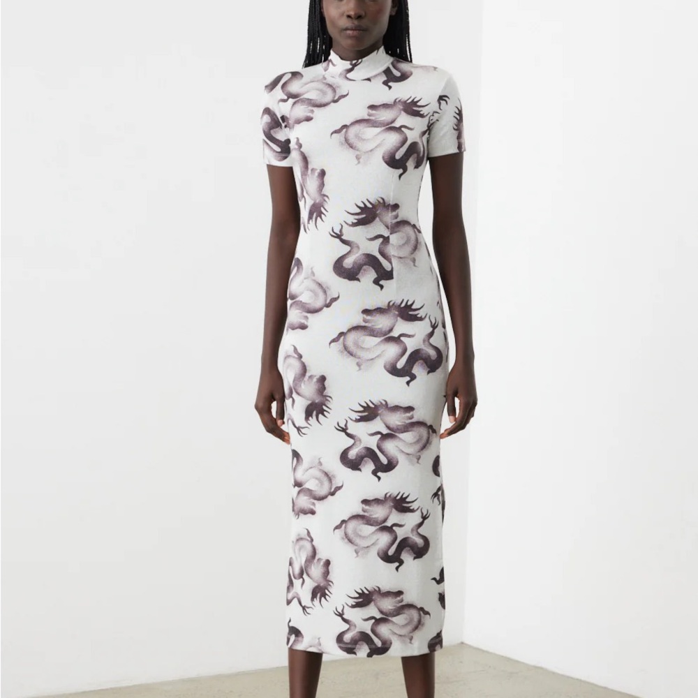 ISO Acne Studios Dragon Dress